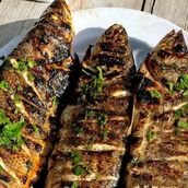 Fish Grill