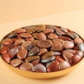 Shells Chocolate Tray