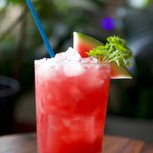Hibiscus Watermelon