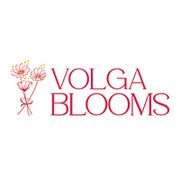 Volga Blooms