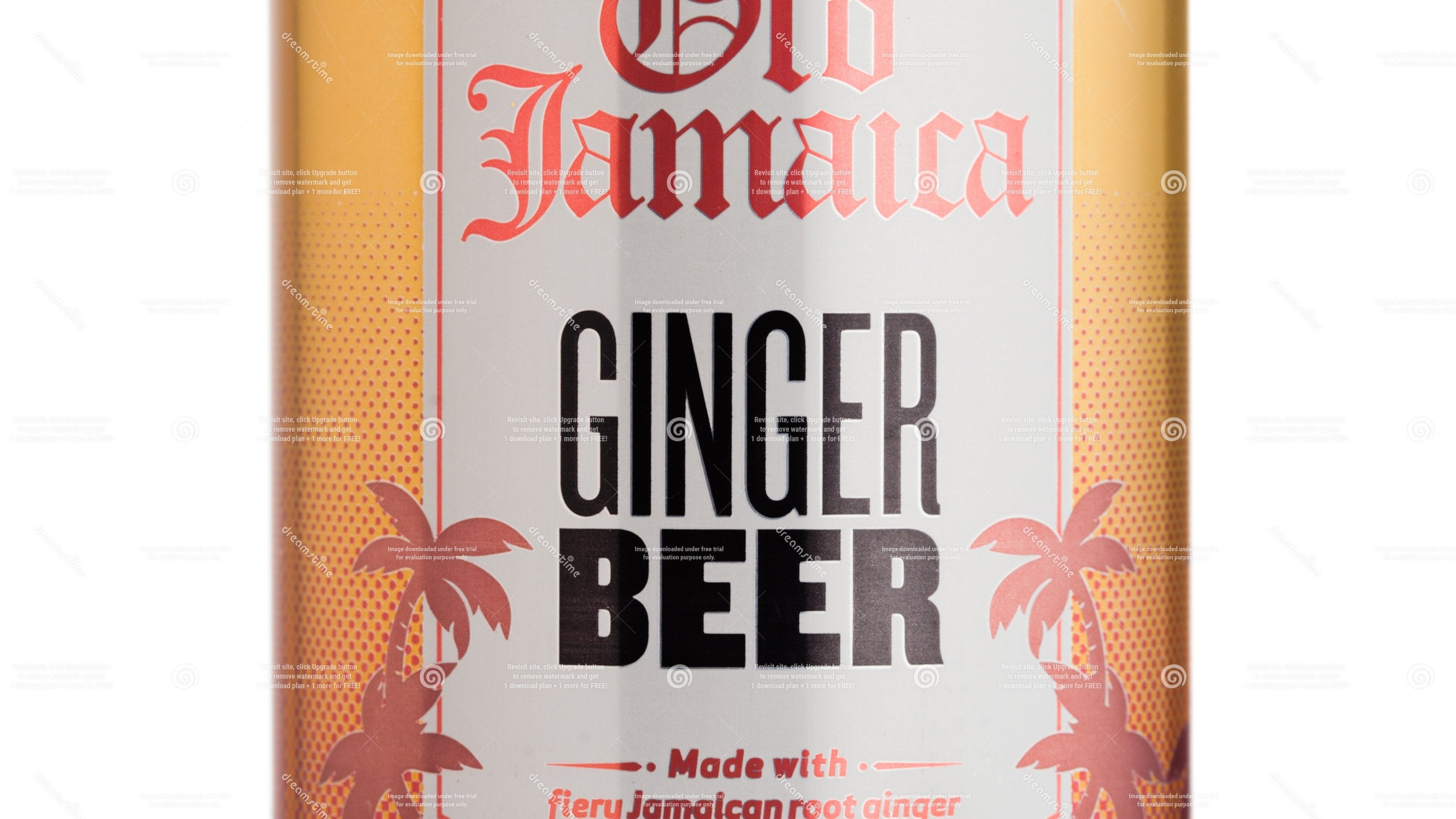 Ginger Beer