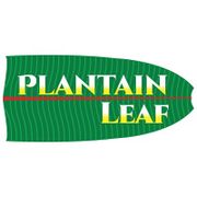 Plantain Leaf