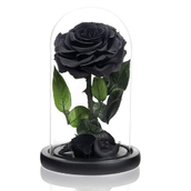 Love At Frist Sight 001