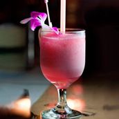 Pink Pinacolada 