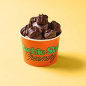 Tasty Creation Regular Size