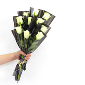 White Roses Distributions