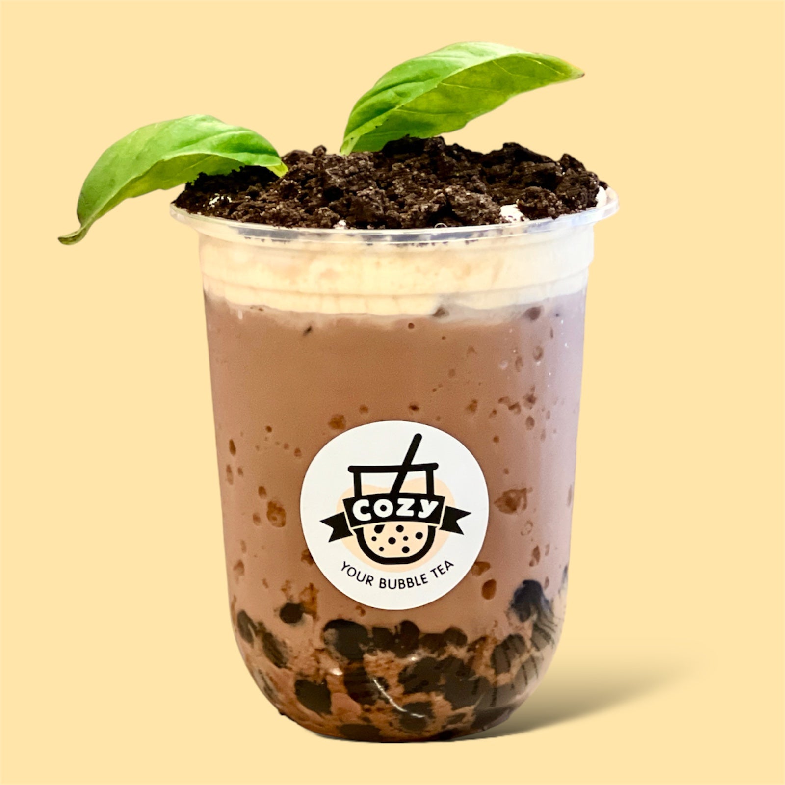 Bonsai Coco 巧克力盆栽