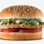 Chicken Burger 
