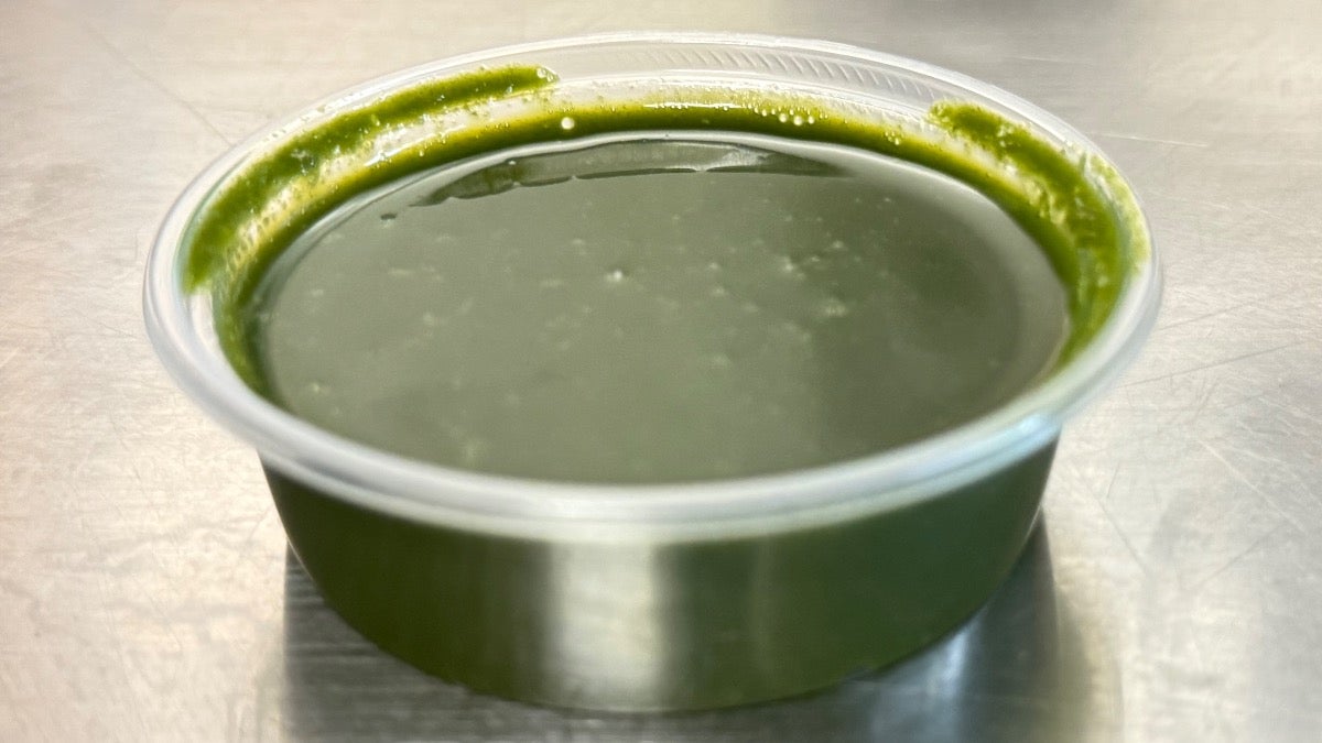 Mint Chutney