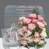 Small Acrylic Bag Reflex