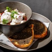 The PDL Shakshuka