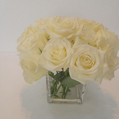 For Ever White