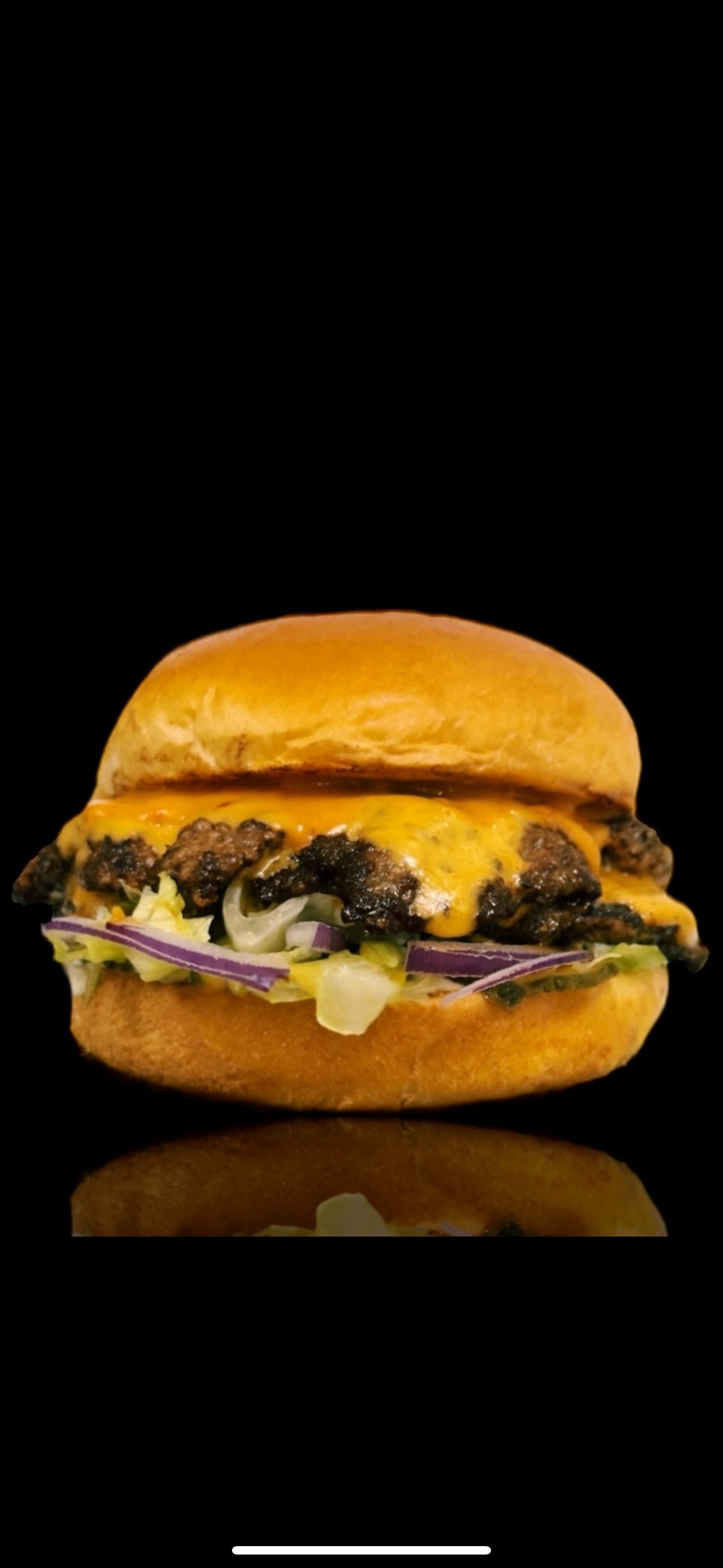 The Classic Angus
