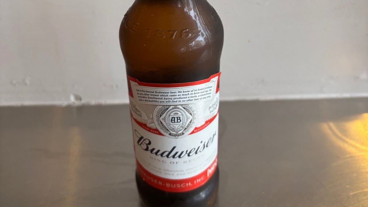 Budweiser beer