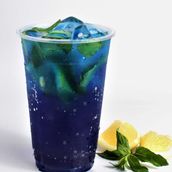 Blueberry Mojito 