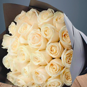 25 White Roses Flowers
