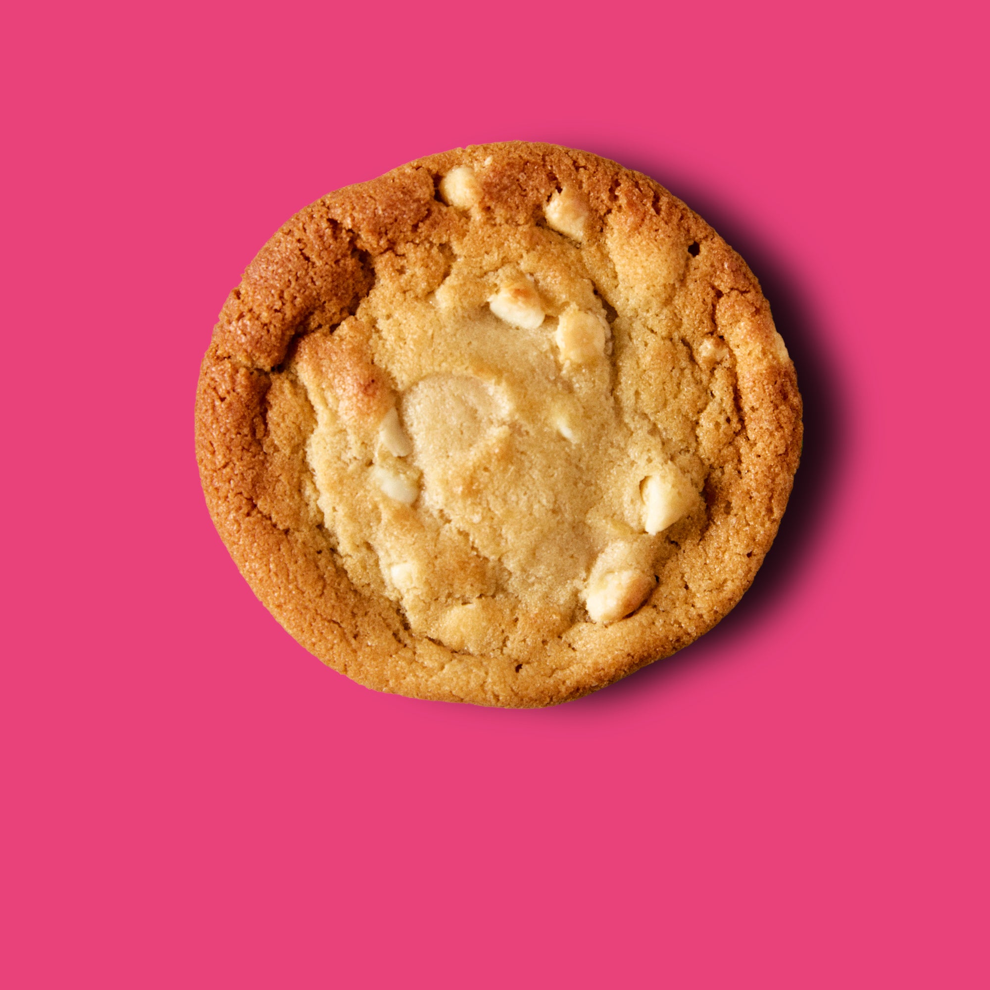 White Chocolate Cookie