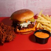 Sandwich And Tenders With Fries