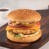 ALI ARBAB BURGER