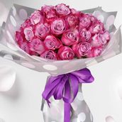 50 purple roses