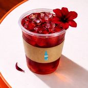 Blue Hibiscus