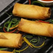 Veg Spring Roll