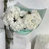 Cloud 9 Hydrangea Bouquet