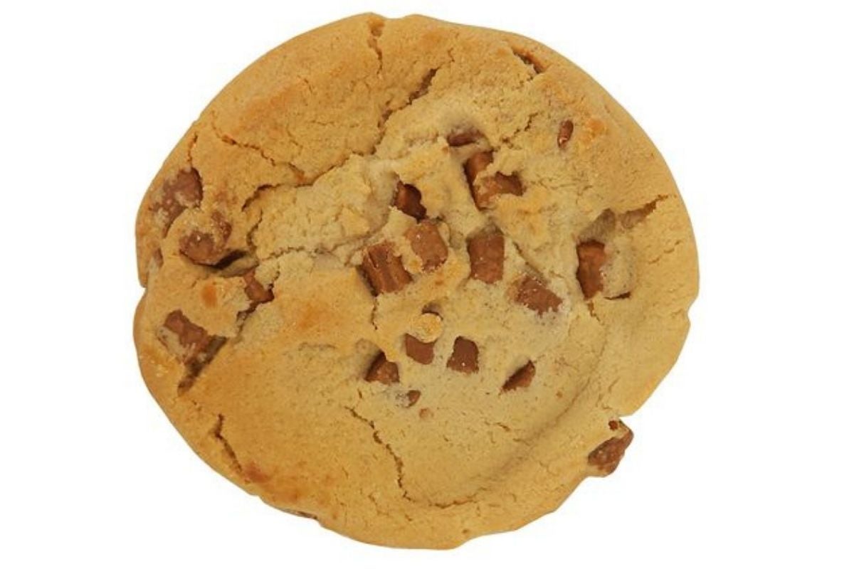 Milk Chocolate Cookie