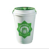 FRESHMINTI - Moroccan Mint Tea 16 Oz Cup