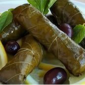 Vine Leaves