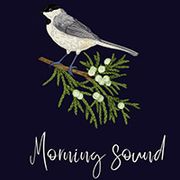 Morning sound