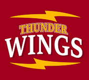 THUNDER WINGS