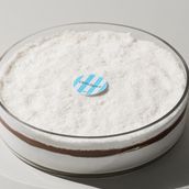 Choconut Cake 