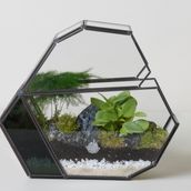 Heart-shaped Terrarium