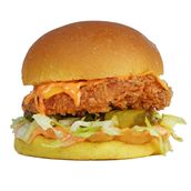 Spicy Crispy Chicken Burger