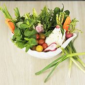 Vegetable Plate