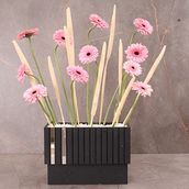 Pink Flowers