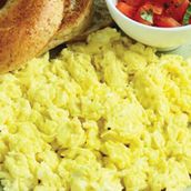 egg 