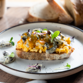 Scrambled Eggs