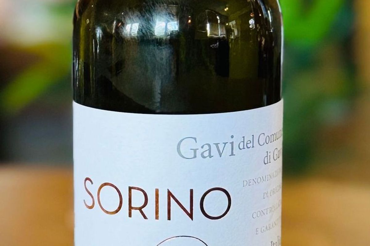 Gavi Di Gavi