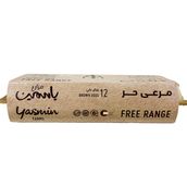 Free Range Brown Eggs 12 PCS Natural Feed Yasmin Farms
