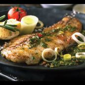 grilled hamour fillet 