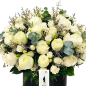 White Rose And Baby Rose In Box