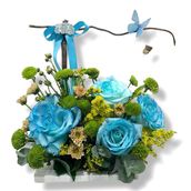 Baby Boy Gift