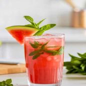 Watermelon Mojito