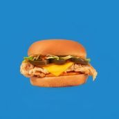 Spicy Chicken Burger Sandwich