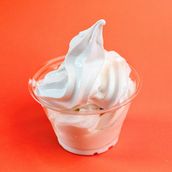 Vanilla Soft Scoop Ice Cream