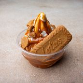 Lotus Ice Cream