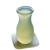 Fresh Lemonade