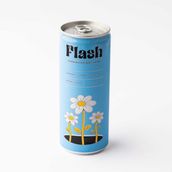 Flash